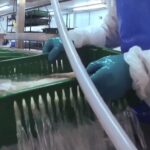 Ozone image from customer video