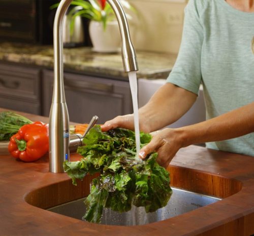 Residential Ozone Products