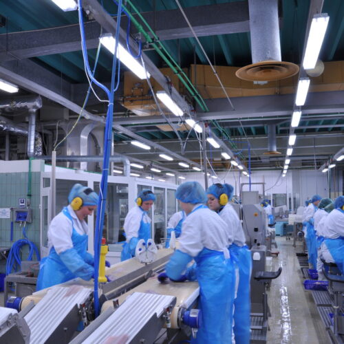 Seafood Processing Ozone